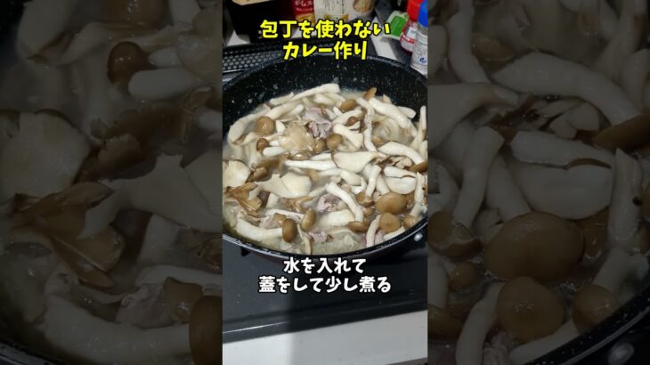 料理は好きだけど包丁を使いたくない人のカレーの作り方